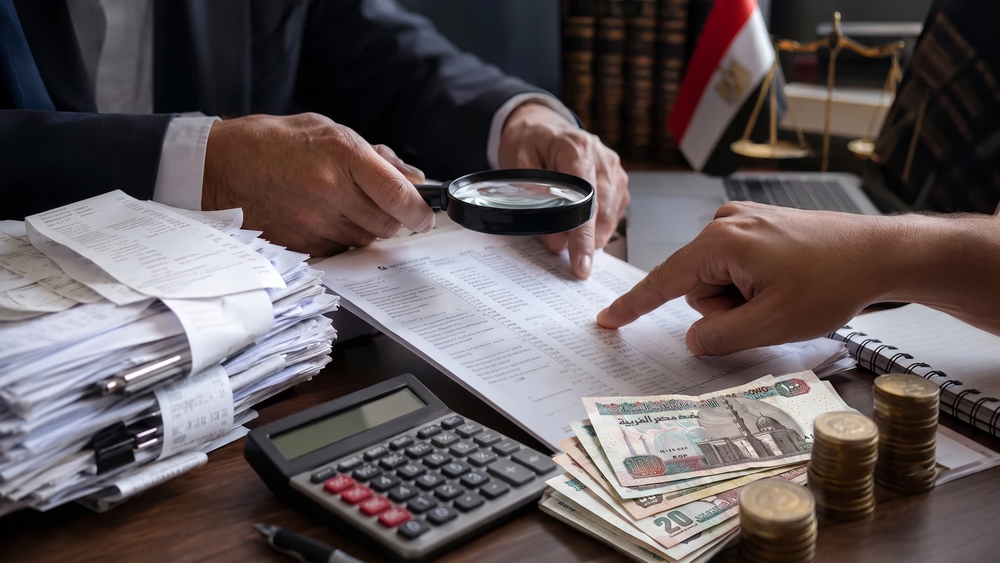 Tax Evasion
