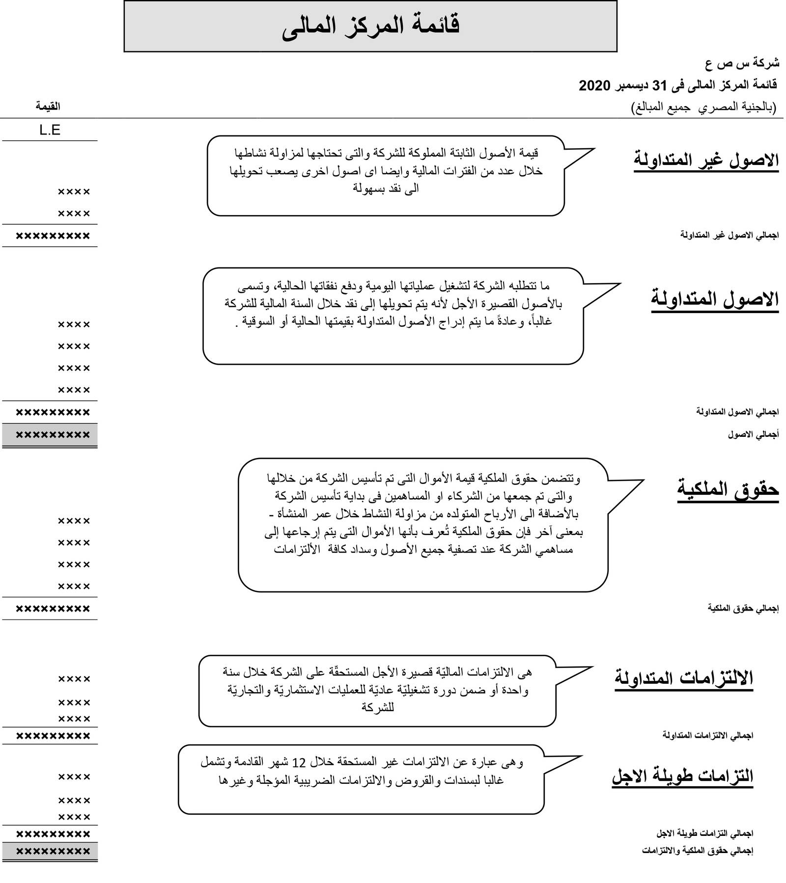 القوائم المالية